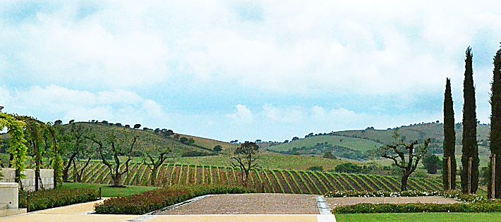 doc maremma toscana numeri 2022