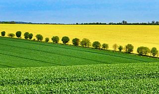 legge di bilancio 2022 agroalimentare
