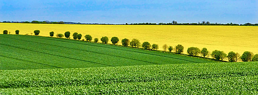 legge di bilancio 2022 agroalimentare