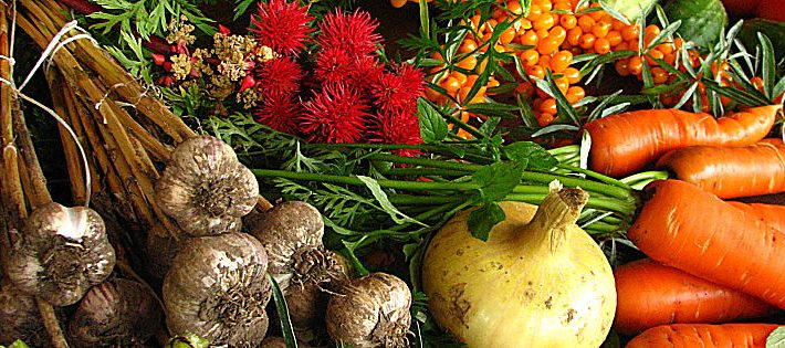 agricoltura biologica italiana coldiretti bio