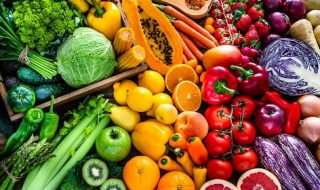 macfrut 2022 rimini