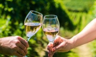 prosecco doc dati 2022