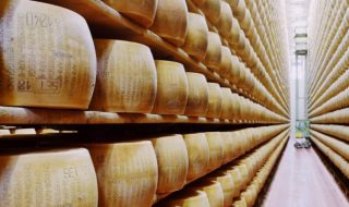 parmigiano reggiano primo trimestre 2022
