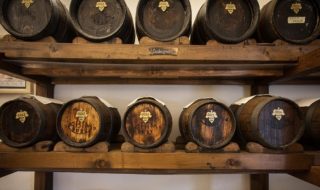 aceto balsamico igp modena dati 2022