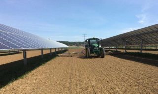 bando 2022 per il fotovoltaico in agricoltura