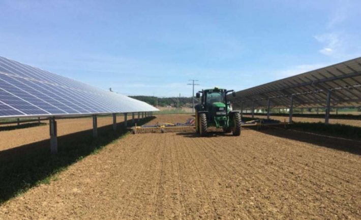 bando 2022 per il fotovoltaico in agricoltura