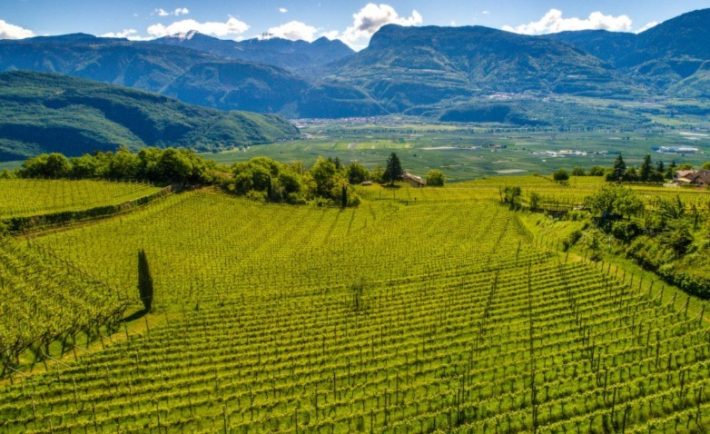 migliori vini altoatesini 2023