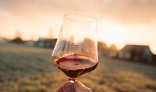 migliori vini italiani 2023 classifica vinibuoni