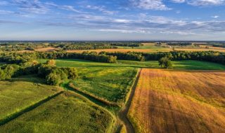 valore dei terreni agricoli italiani 2022