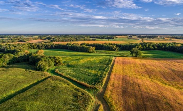 valore dei terreni agricoli italiani 2022