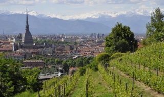 migliori vini piemontesi 2023