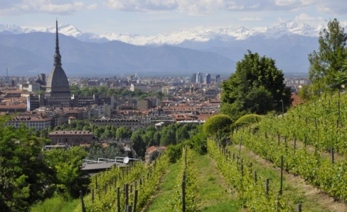 migliori vini piemontesi 2023