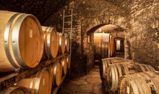 chiocciole slow wine 2023 vini