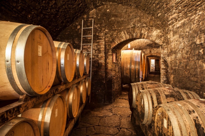 chiocciole slow wine 2023 vini