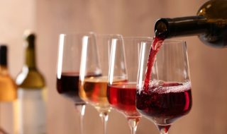 salone del vino di torino 2023