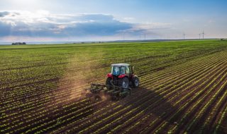 banca nazionale delle terre agricole bando 2023
