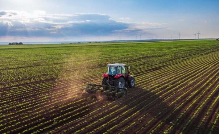 banca nazionale delle terre agricole bando 2023