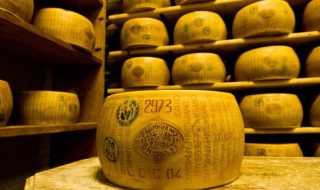 parmigiano reggiano 2023