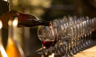 oscar del vino 2023 vini premiati