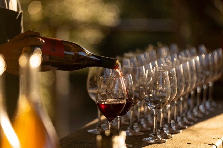 oscar del vino 2023 vini premiati