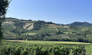 migliori vini della lombardia 2024 classifica