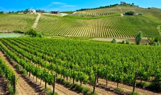 migliori vini di abruzzo e molise classifica 2024