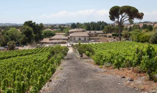migliori vini siciliani 2024 classifica