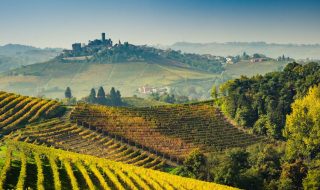 migliori vini piemontesi 2024 classifica