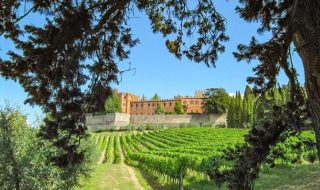 migliori vini toscani 2024 classifica