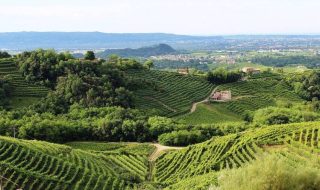 migliori vini veneti 2024 classifica
