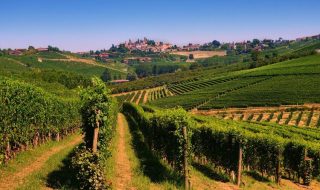 doctor wine 2024 vini premiati