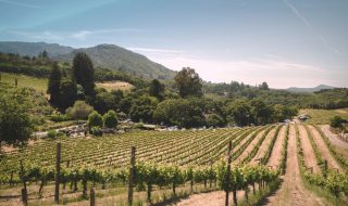 migliori vini friulani 2024 classifica