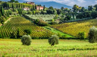 vinibuoni d'italia 2024 top 300