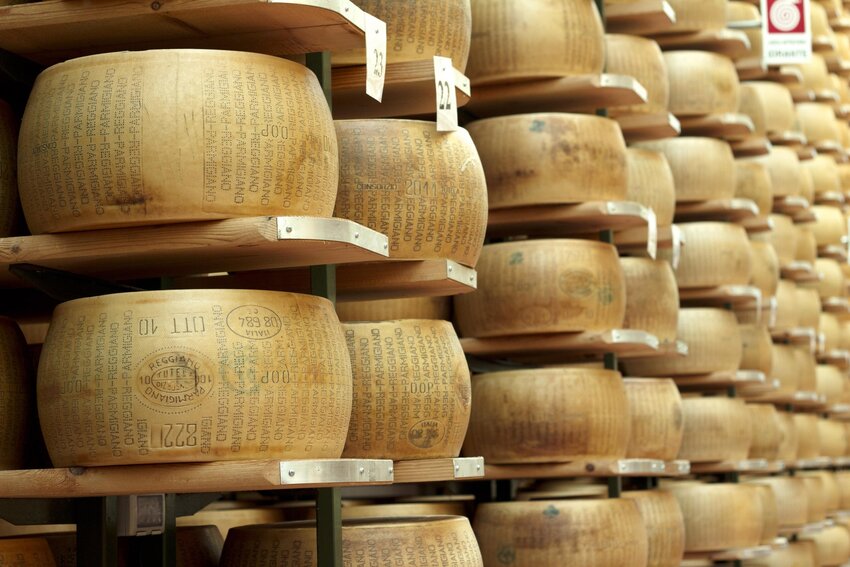 parmigiano reggiano dati 2024 vendite