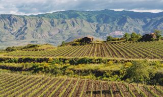 migliori vini del sud italia classifica 2024