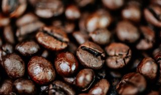 arabica e robusta come identificarle