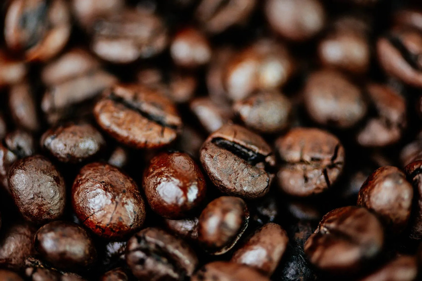 arabica e robusta come identificarle
