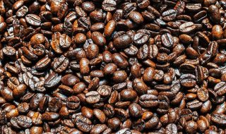 black ivory coffee ce lo spiega marco bazzara