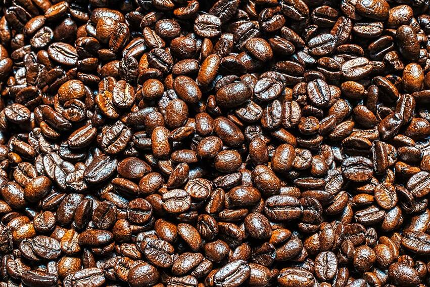 black ivory coffee ce lo spiega marco bazzara