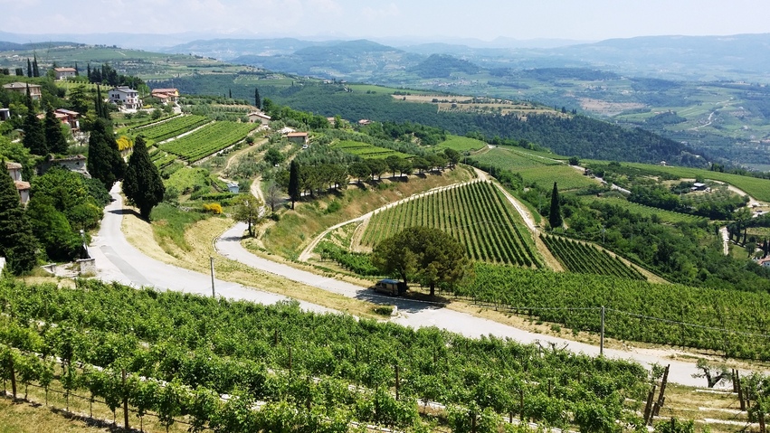 migliori vini del Veneto 2026 classifica vini d'Italia