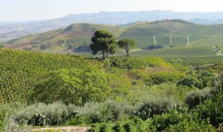 migliori vini della Sicilia 2026 classifica