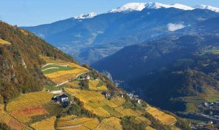 vins extremes 2025 bard novembre