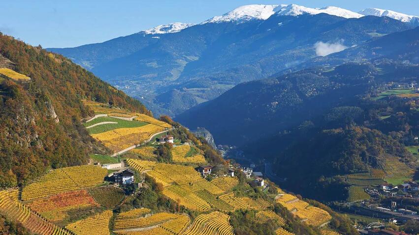 vins extremes 2025 bard novembre