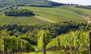 migliori vini della Toscana 2026 classifica vini d'Italia