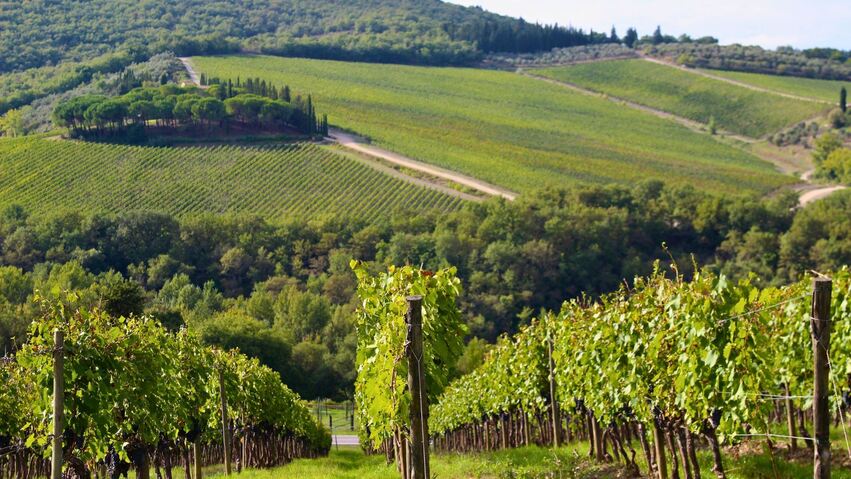 migliori vini della Toscana 2026 classifica vini d'Italia